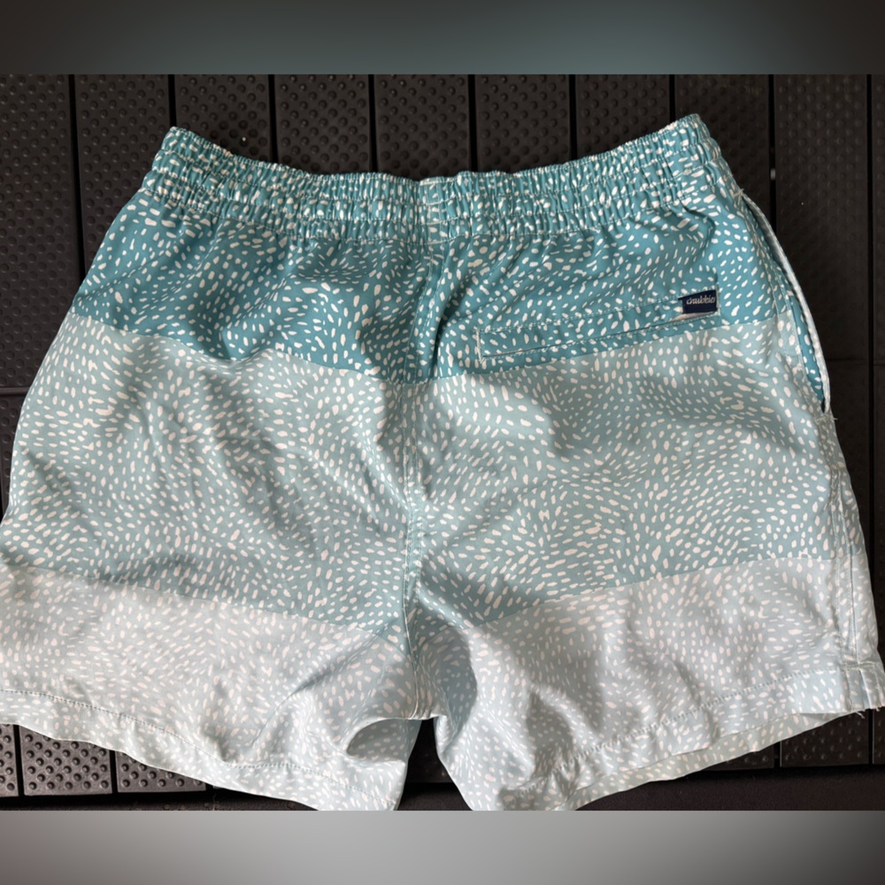 Chubbies 5.5 inch  Classic Swim Trunk Men’s Small